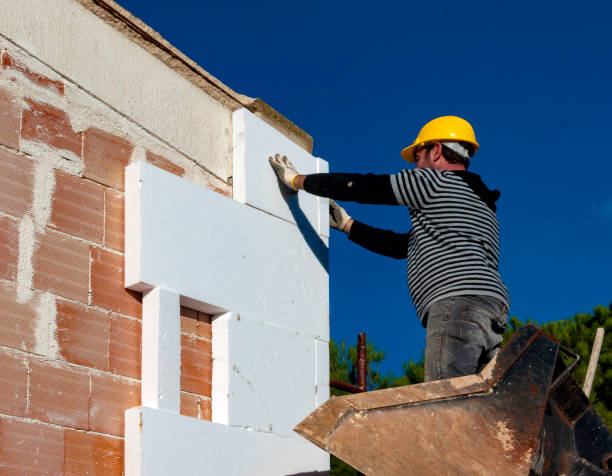 Best Geographic-Specific Insulation Services in Lebanon, MO