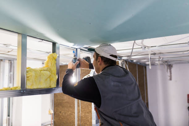 Best Commercial Insulation in Lebanon, MO